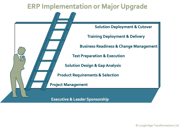 ERP Implementation or Major Upgrade