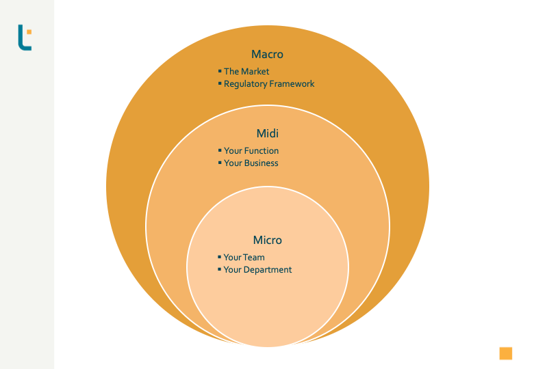 Understand the Context: Micro-Midi-Macro Lens